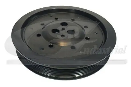 Шків колінвалу Ford Transit/Mondeo 2.0D 3RG 10307