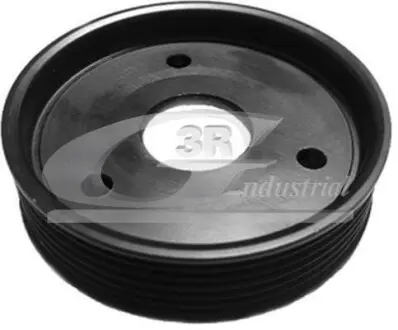 Шків насоса ГУР d1 29mm D 103mm H 24mm 6PK (для OP 006, OP 031) Opel/Renault Master/Movano 2.2dCi 3RG 10604
