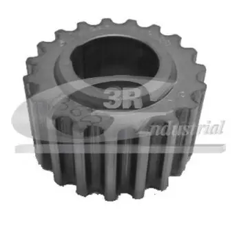 Шестерня коленвала Renault Clio, Kangoo, Laguna, Megane 95-11 / Lada Largus 12-18 3RG 13625
