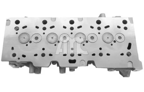 Головка блоку циліндрів Renault Kangoo 1.5dCi 05- AMC 908893