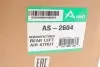 Амортизатор ARNOTT AS-2604 (фото 2)