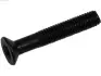 Болт с головкой системы TORX из черного металла SP0007