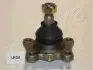 Шаровая опора передняя нижняя лев./прав. Toyota Hilux II, 4 Runner 2.0-3.0Td 01.84-07.05 ASHIKA 53-02-295 (фото 1)