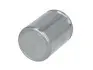 Поршень супорта D025227