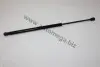 Амортизатор багажника Ford Mondeo III HB 11.00–08.07 AUTOMEGA 100002210 (фото 1)