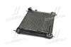 Радіатор, Система охолодження двигуна CLEVER FIT AVA COOLING DN2354 (фото 2)
