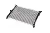 Радиатор охлаждения двигателя AVA COOLING DW2039 (фото 1)
