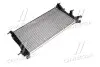 Радіатор охолодження двигуна AVA COOLING RTA2460 (фото 3)