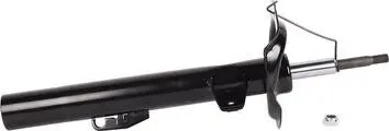 Передний амортизатор Bapmic BACB12573002