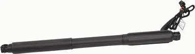 Газовий упор Bapmic BF0113480013