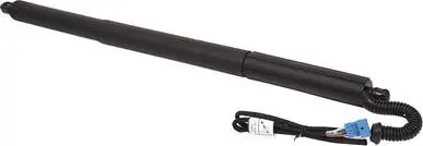 Амортизатор багажника Bapmic BF0113480020