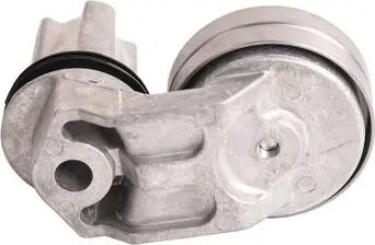 Ролик натяжний Bapmic BF0422540002