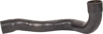 Повітряний шланг Bapmic BF0422700284