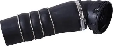 Повітряний шланг Bapmic BF0422700318