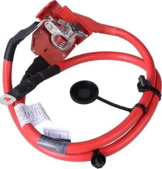 Кабель акумулятора Plus Pole Bapmic BF0422930009