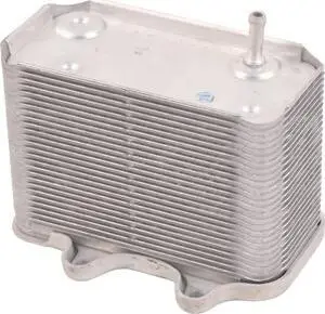 Оливний раліатор Bapmic BF0426490092