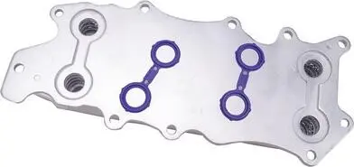 Масляний радіатор Bapmic TOPT11KIT014