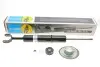 Амортизатор газомасляный BILSTEIN 19-045771 (фото 1)
