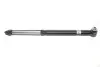 Амортизатор газомасляний BILSTEIN 19-139968 (фото 1)