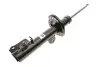 Амортизатор газомасляный BILSTEIN 22-260956 (фото 1)