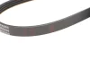 Ремень генератора поликлиновый BLUE PRINT AD04R800 (фото 3)
