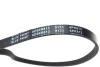 Ремінь генератора поліклиновий BLUE PRINT AD04R813 (фото 2)