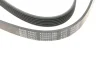 Ремень поликлиновый BLUE PRINT AD06R1285 (фото 3)