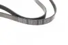 Ремень генератора поликлиновый BLUE PRINT AD06R1435 (фото 3)