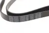 Ремень генератора поликлиновый BLUE PRINT AD06R1468 (фото 3)
