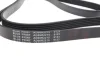 Ремінь генератора поліклиновий BLUE PRINT AD06R2215 (фото 2)