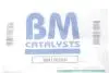 Сажевый фильтр BM CATALYSTS BM11050H (фото 2)