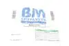 Сажевый фильтр BM CATALYSTS BM11277H (фото 2)