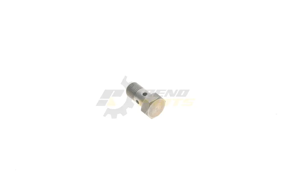 Болт турбіни (M10x1х19mm) 5 (F10/F18)/X5 (F15/F85) 10- N47/B37/M51/M57 BMW 07119907291 (фото 1)
