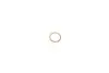 Шайба болта зливу оливи 5 (E60/F10) 3.0d/4.4 (M57/N57/S63) (12x15) BMW 07119963129 (фото 1)
