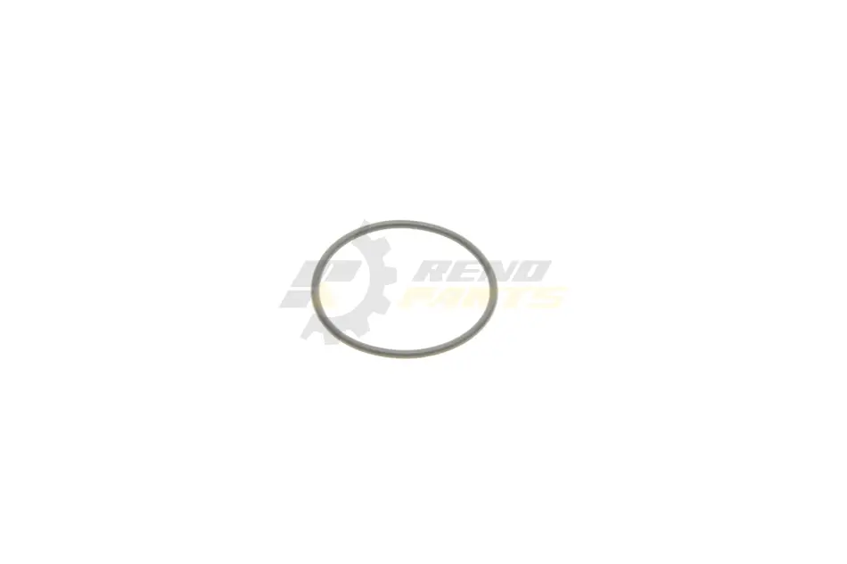 Кільце BMW 11217804748 (фото 1)