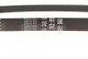 Пас поліклиновий 6РКХ1003 N20 BMW 11287618848 (фото 3)