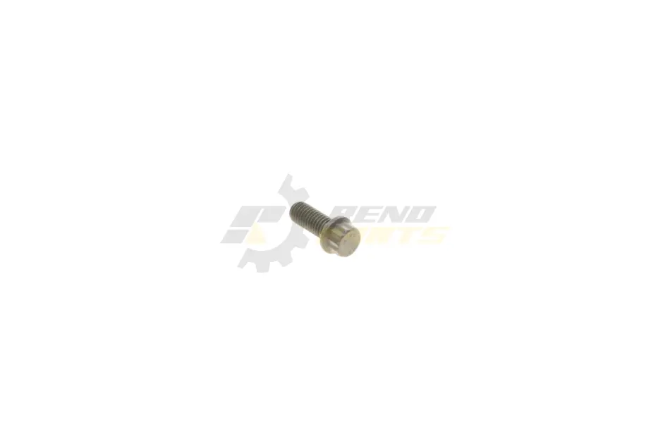 Болт із шестигранною головкою (M8x1,25x20) BMW 11657801771 (фото 1)
