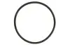 Кільце ущільнююче 56 X 2,75MM N13 BMW 11667566483 (фото 1)