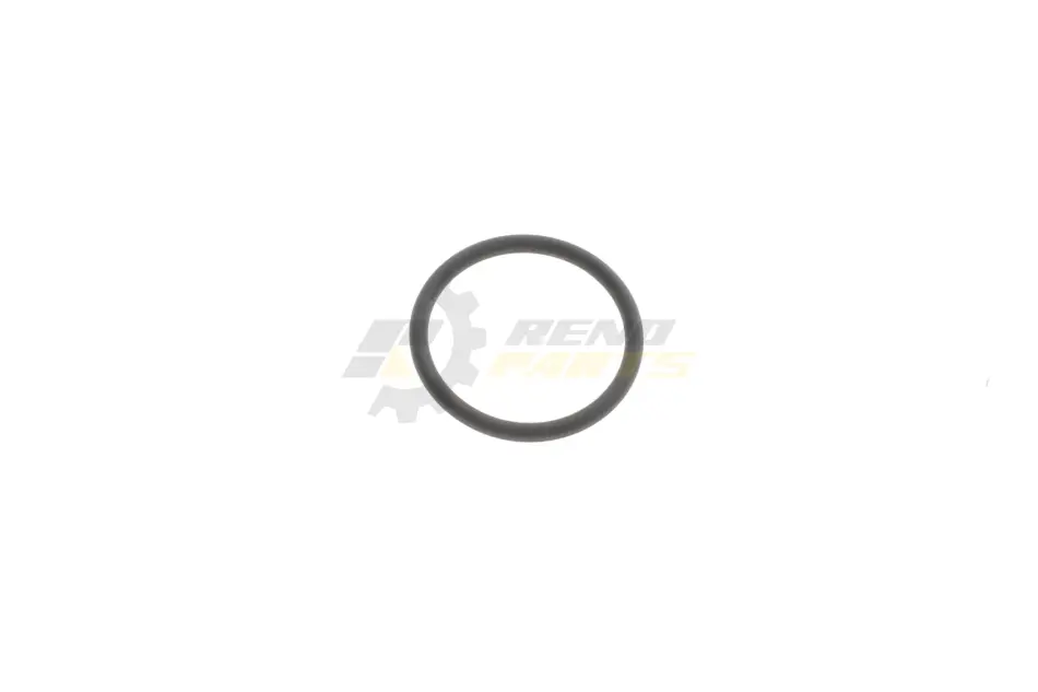 Кільце гумове BMW 13717568030 (фото 1)