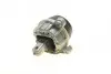 Подушка двигателя 5 (F10/F11) 2.0i xDrive 11-16 (N20) BMW 22117935147 (фото 2)