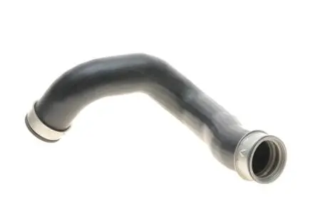 Патрубок інтеркулера BOGAP C1711113 (фото 1)