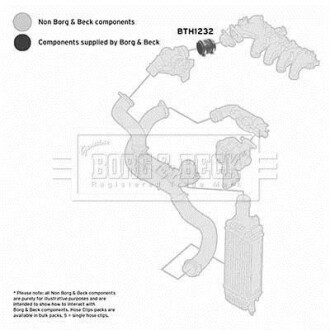 Патрубок с хомутами BORG & BECK BTH1232