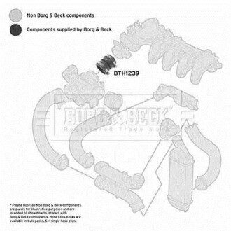 Патрубок BORG & BECK BTH1239