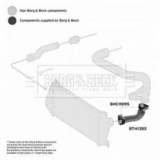 Патрубок BORG & BECK BTH1352