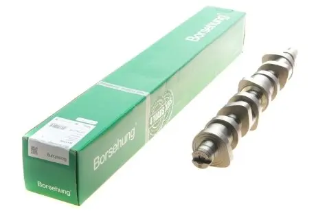 Распределительный вал Borsehung B11306