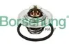 Термостат VW T5/Caddy/Passat 1.6/2.0i 03-15 (від 87-102 ° C) (OE VAG) Borsehung B13140 (фото 1)