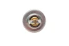 Термостат VW T5/Caddy/Passat 1.6/2.0i 03-15 (от 87-102°C) (OE VAG) Borsehung B13140 (фото 4)