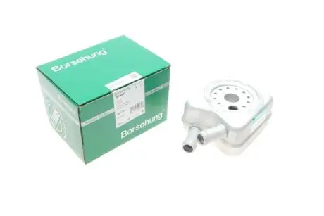 Радіатор масляний Borsehung B14497