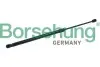 Амортизатор (газова пружина) Borsehung B18451 (фото 1)