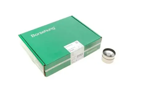 Гідрокомпенсатор Borsehung B18837